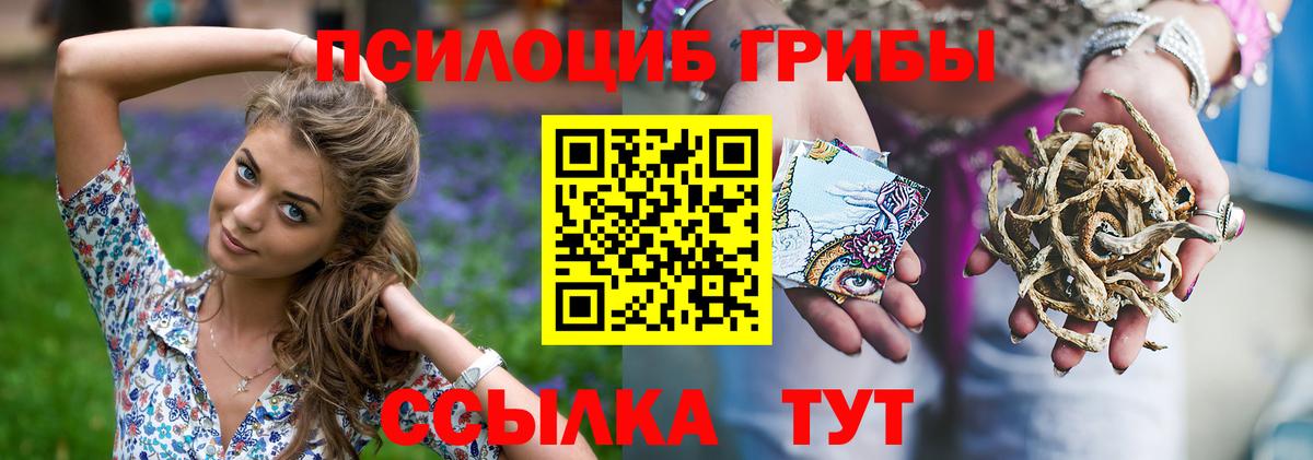 Касимов  Галлюциногенные грибы Magic Shrooms  как найти закладки  Вход с VPN  Псилоцибиновые грибы мицелий 